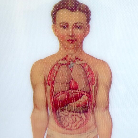 NEW VINTAGE KIKKERLAND BRAND THE HUSBAND CHOPPING CUTTING BOARD KITCHEN TOOL - Picture 2 of 7